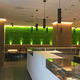 vertical garden moss