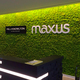 vertical garden moss