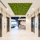 vertical garden moss