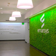 vertical garden moss